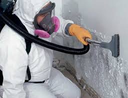  Nellysford, VA Mold Removal & Remediation Pros